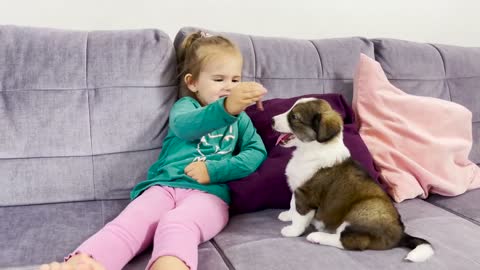 Adorable Baby Girl Feeding Her Puppy!