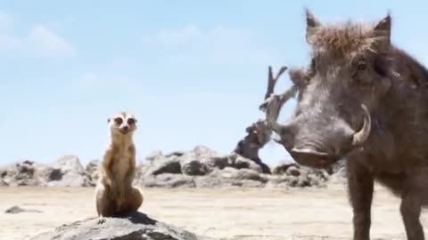 How much is a girl to get a job in the worthy of