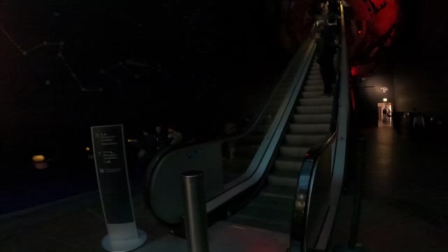 Bye bye Stegasaurus. Natural history museum 7th Nov 2022