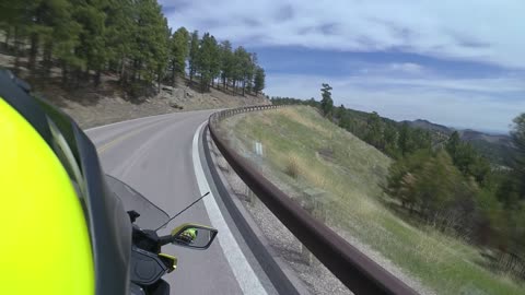 Riding Custer State Park - Bison or Buffalo?