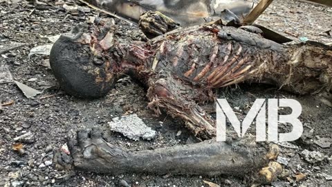 War in Ukraine Bloodline part 33