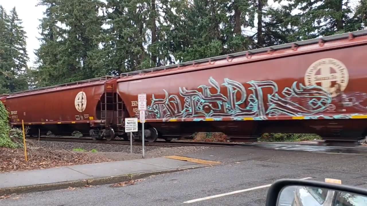 BNSF Railroad crossing. Saturday, November 4, 2023. *motion warning, moving train* #ASMR #SHORTS