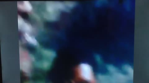 B.B. King How Blue Can You Get, Just A Little Love 1970 Live