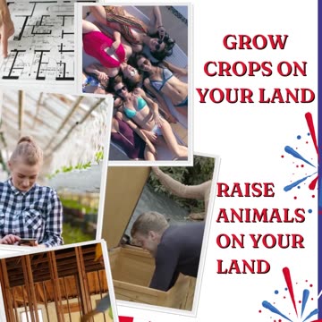 Hot Summer Sale: Don't Miss Out on Affordable Land Ownership Deals in July - Ancestry Lands