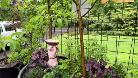 April 28, 2023 - just the garden