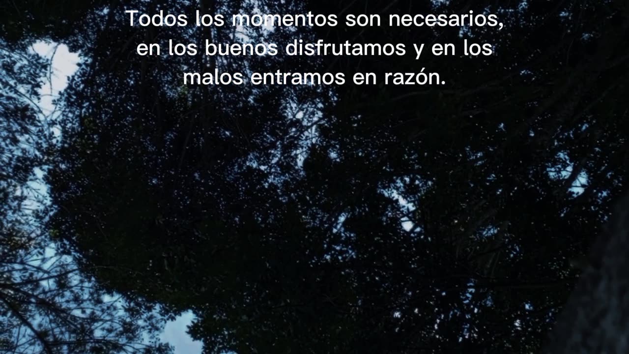 Frases motivación 🤍☘️