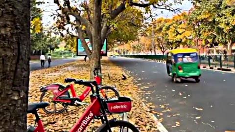 Chandigarh lover city