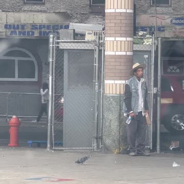 Kensington Rat Shack