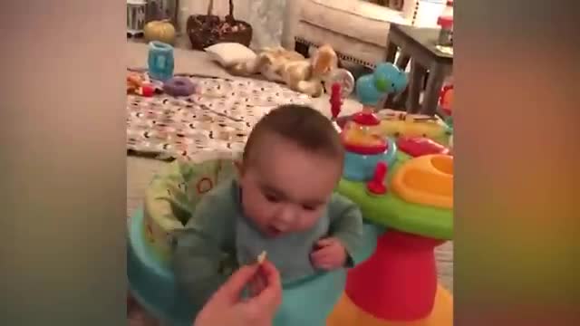 Cute and Funny Babies Compilation