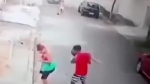 Dog Attacking Child