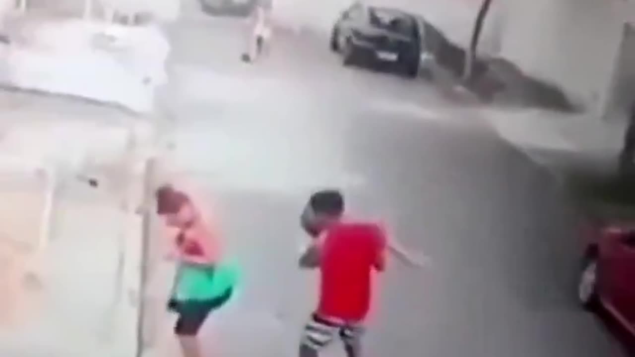 Dog Attacking Child