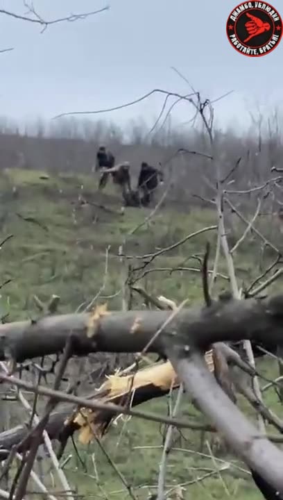 During the UAF evacuation