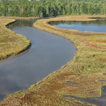 "Take Action Now! Direct Ways to Make a Difference for Our Environment"🌳
