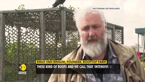 Netherlands creates rooftop walkway at Rotterdam| World English News| Climate News| WION