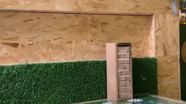 Video with owls -5