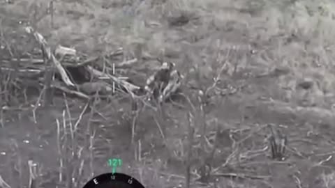 Russian Soldier Gives Ukrainian Drone a Stern Talking-To