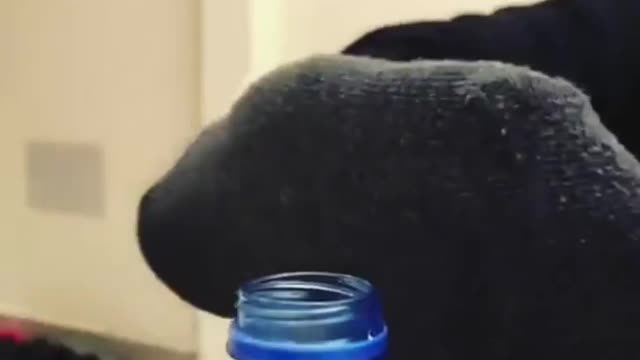 The Bottle Challenge Has Never Been Easier