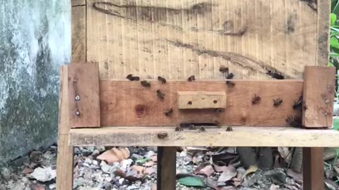 beekeepers