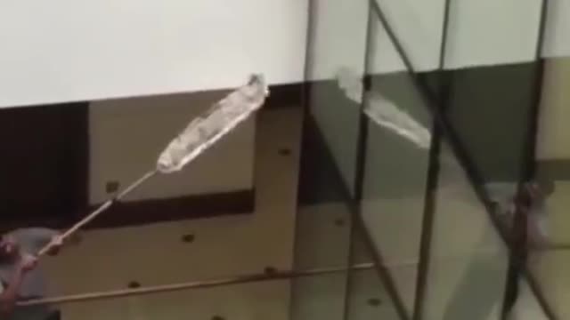 Cat died horribly 😲😥