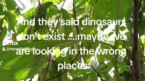 Dinosaurs Among Us