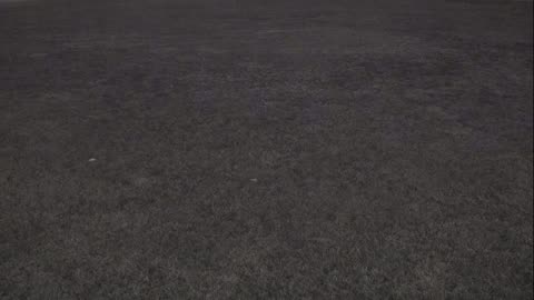 7231USCG00EastFrontHouseEgg_2021-01-05_22h09min24s153ms.mp4