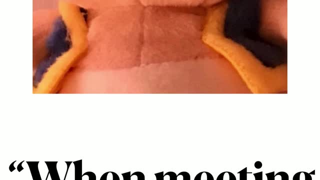 Toads's Advice