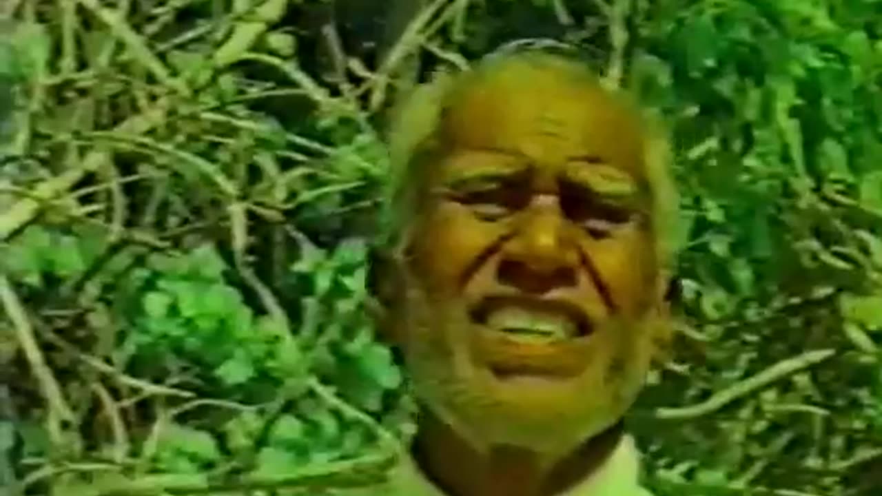 Uomini e Squali