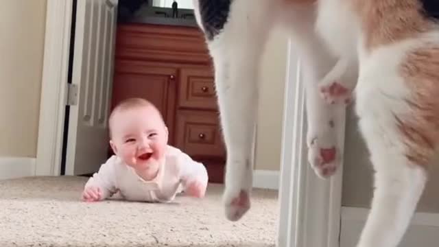 baby funny video