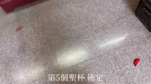②文昌帝君：打喵是沒用的！？會有不良反應！？
