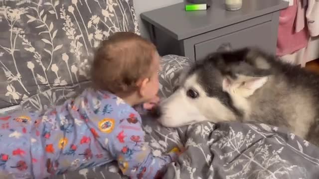 Baby REFUSES To Fall Asleep Without Her Husky Cuddling Her!!😭