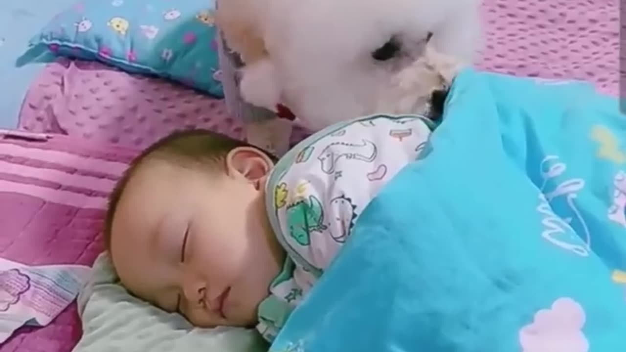 Most heartwarming and touching cute dog takes care of cute boy