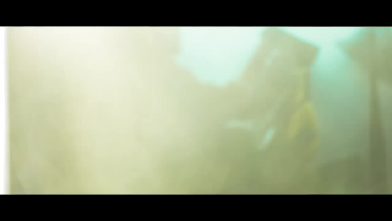 Weimar - Von Wölfen & Ratten