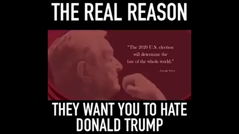 THE REAL REASON THEY WANT YOU TO HATE DONALD TRUMP