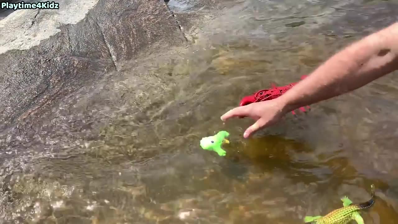 Sea animal toys at the beach