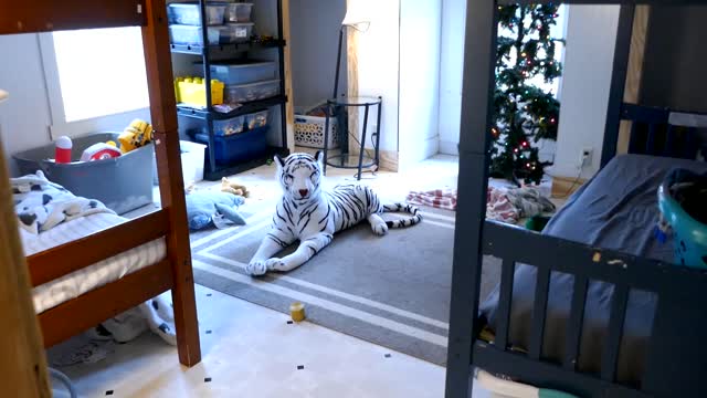 Mom there's a tiger in the room