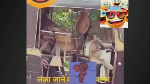 very very funniest moments video_2023_04_16_47_43