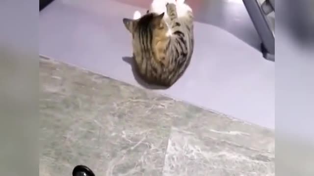 A lovely moment