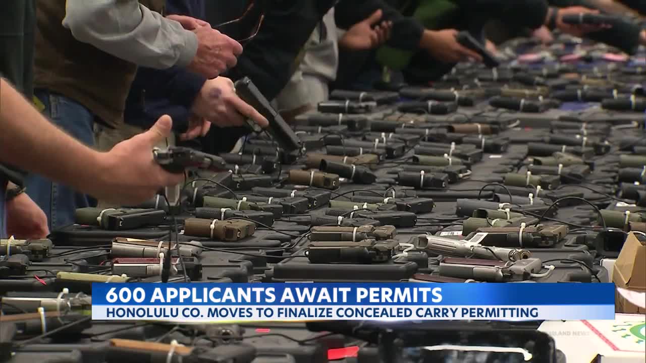 600 applicants in Oahu seeking concealed carry gun permits