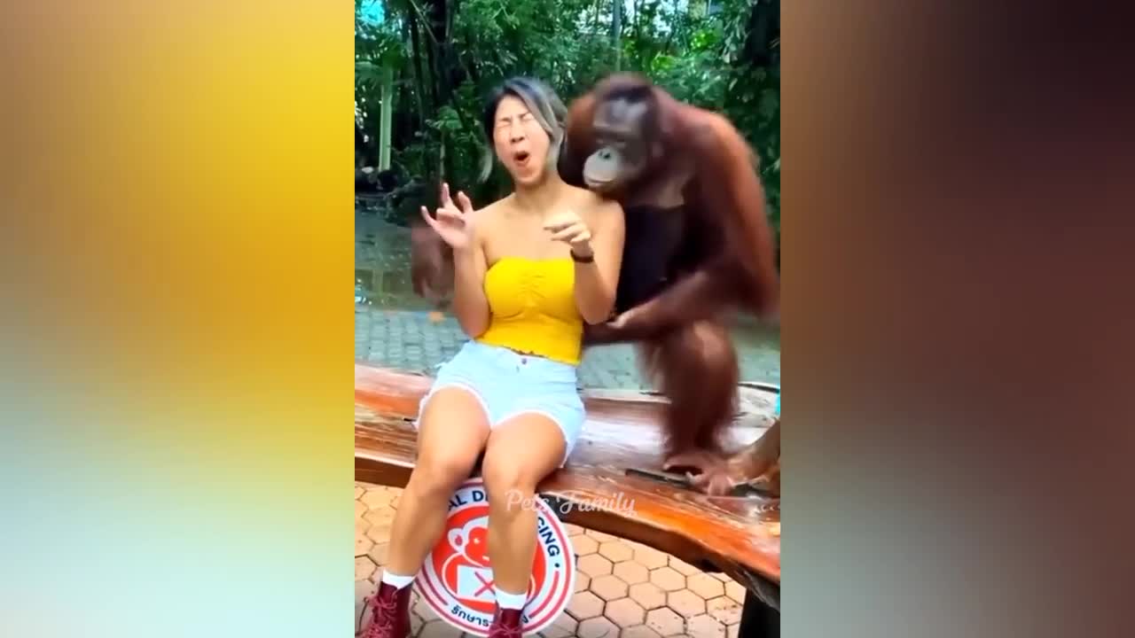 Funniest Animals 2022 π Funniest Cats and Dogs πΊπΆ Part 7 Pets Family