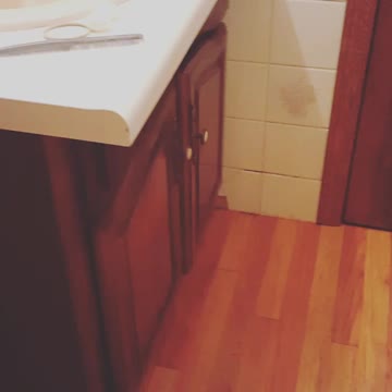 Cat in the cupboard!