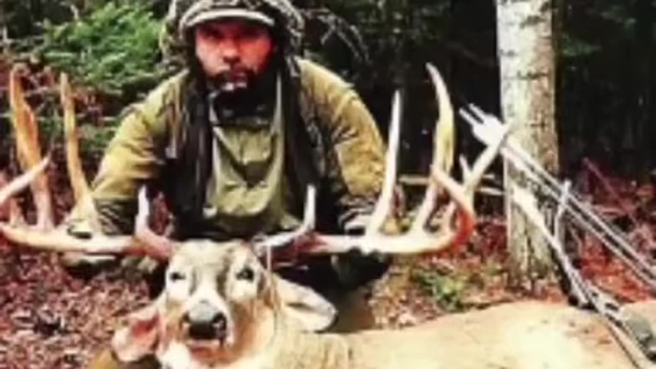 The Rompola Buck Chapters