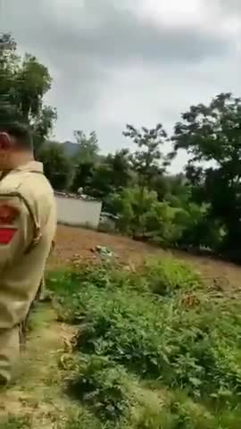 Forced vaccination India