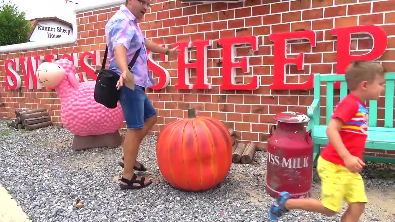 Diana and Roma play with Dad at farm sheep, fun family trip-11