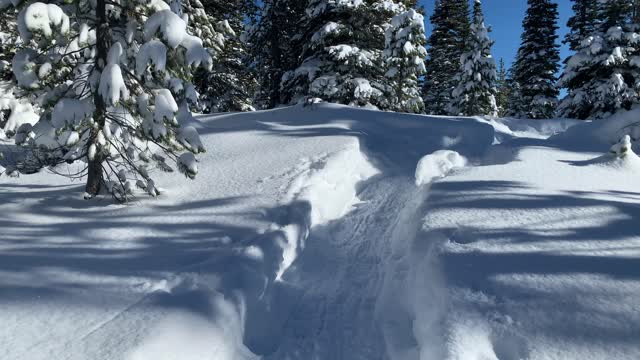 Steep Snow Hiking – Central Oregon – Swampy Lakes Sno-Park