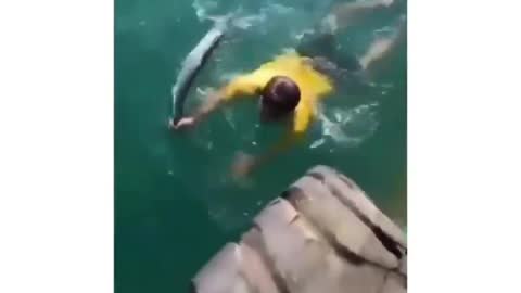 This is a beautiful and charming water-dwelling species