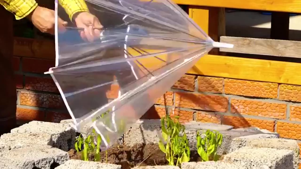 Best hacks for starting and growing a farm