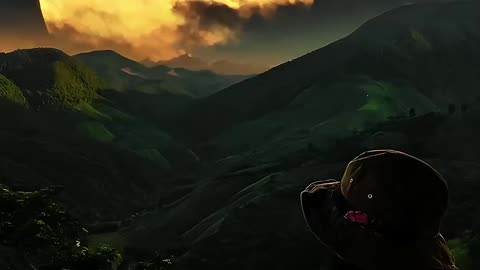 Beautiful night view