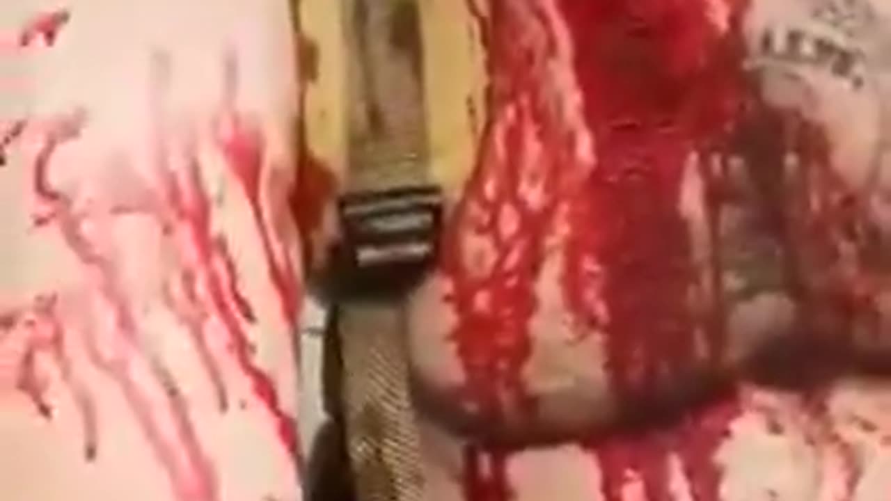 Red Bearded White Man Survives Muslim Defence League Child Rapist Stabbing With Beating!