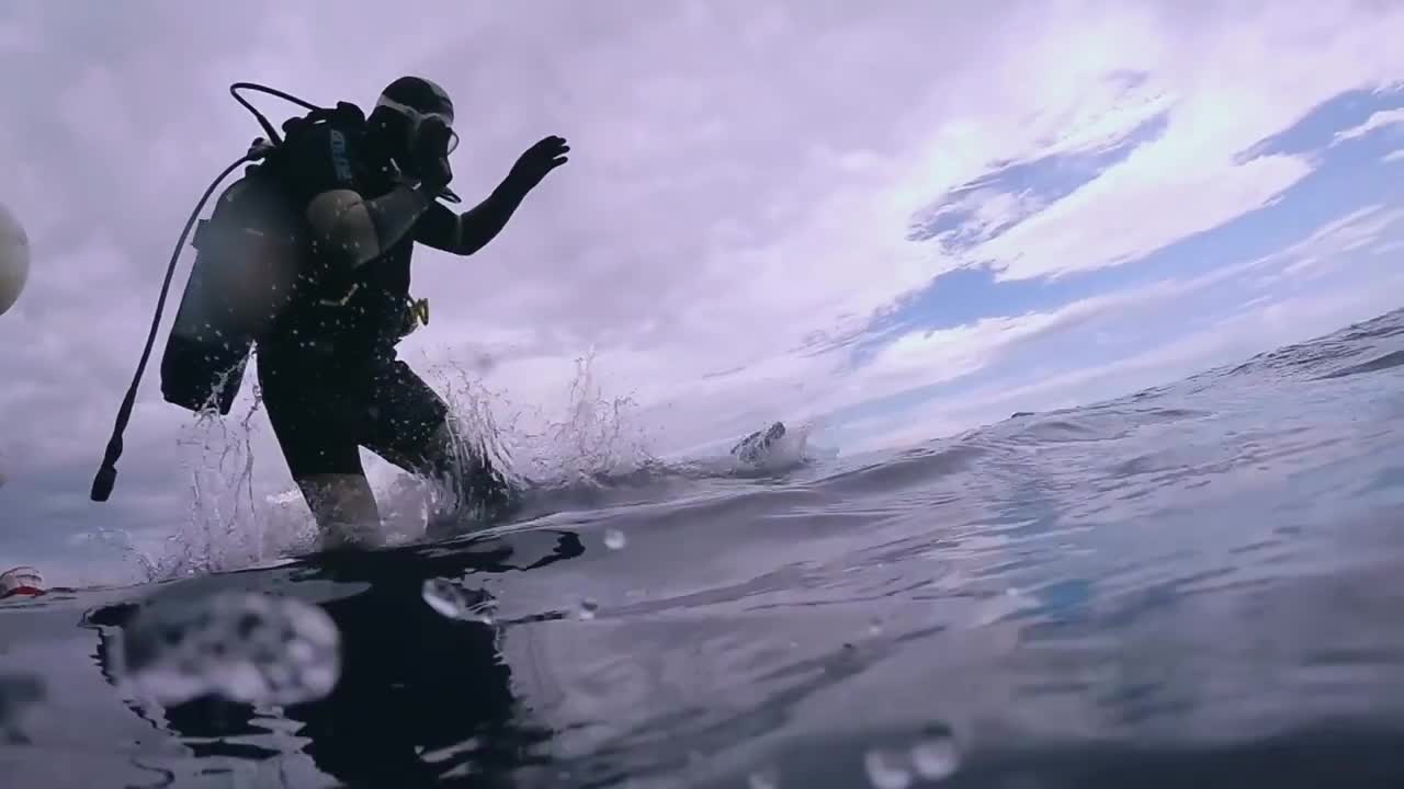 Engineer Hydrocarbon NEDU.