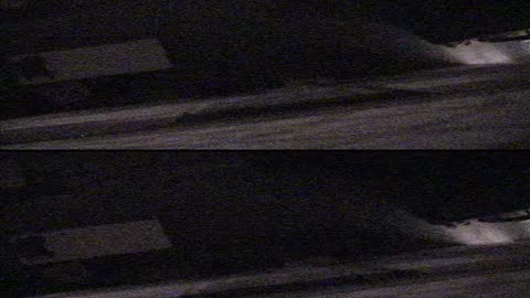 4002BGCO01WestHall_2021-01-05_01h40min01s053ms_1.mp4